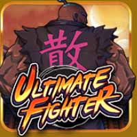 Ultimate fighter